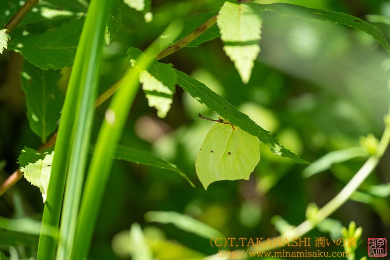 ../Images/7R240817 (247).jpg